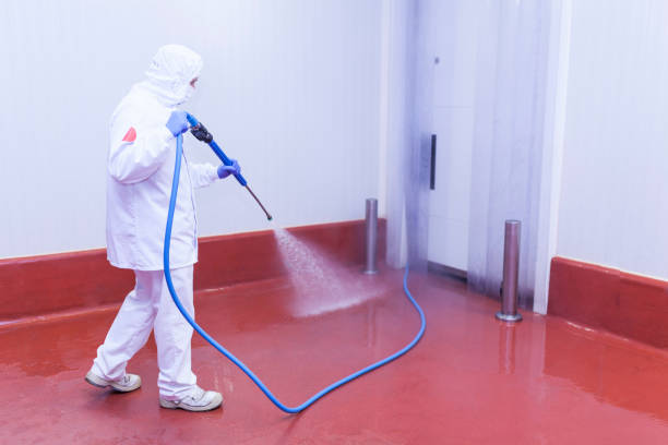 Reliable Rockdale, TX Pressure Washing Services Solutions