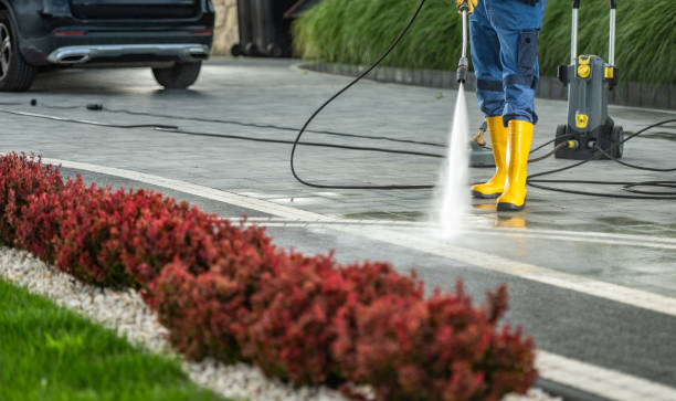 Best Gutter Cleaning and Brightening in Rockdale, TX